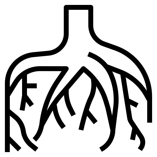 Mua Nakshatra Root icons created by dDara - Flaticon