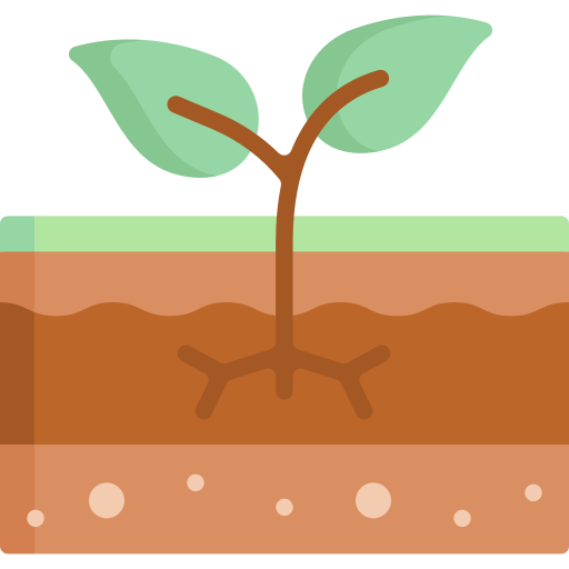 soil and plant