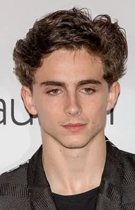 Timothée_Chalamet_in_2018_(cropped) Photo by Somewhere In Toronto (via Flickr), licensed under CC BY-SA 2.0