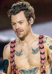 HarryStyles Photo by Raph_PH, licensed under CC BY 2.0